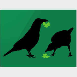 Saint Patrick's Day Kelly Green Shamrock Crows for Bird Lovers Posters and Art